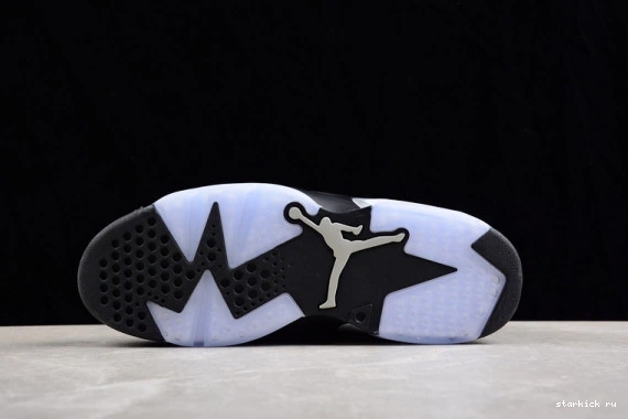 Silver Jordan Retro 6 DX2836-001 Metallic DX2836-001 0123